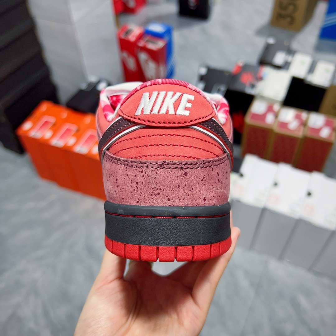 Kickswho Concepts x Nike SB Dunk Low "Red Lobster" - Image 3