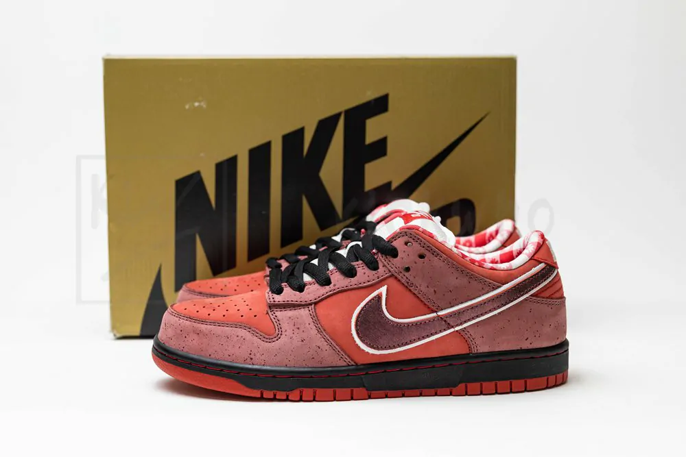 Dunk Low Premium SB 'Lobster' - Image 4