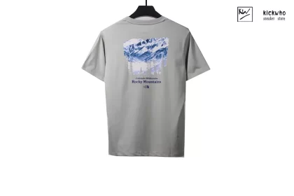 TNF Snow Mountain T-shirt Grayish brown