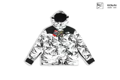 TNF Snow Mountain Stormsuit