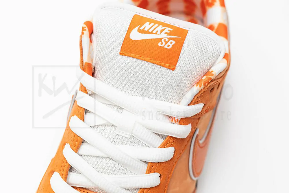 Concepts x Dunk Low SB 'Orange Lobster' - Image 11