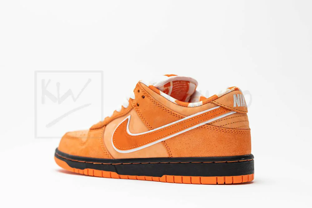 Concepts x Dunk Low SB 'Orange Lobster' - Image 14