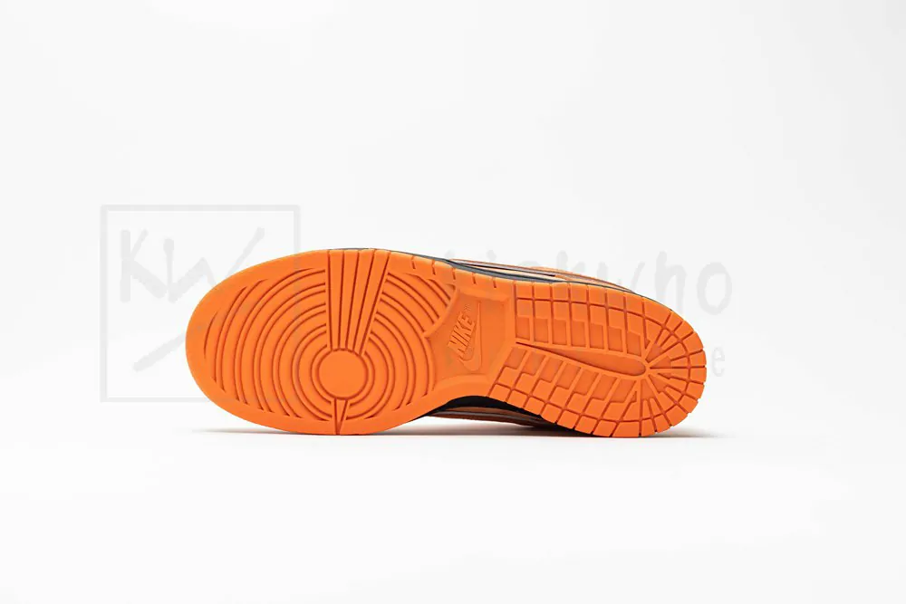 Concepts x Dunk Low SB 'Orange Lobster' - Image 4