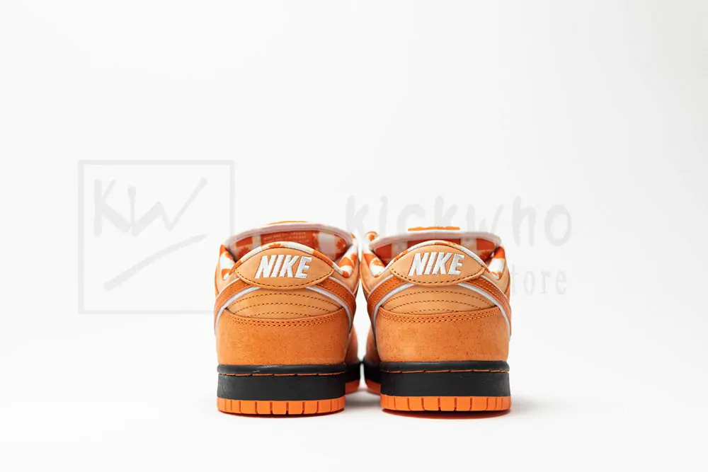 Concepts x Dunk Low SB 'Orange Lobster' - Image 7