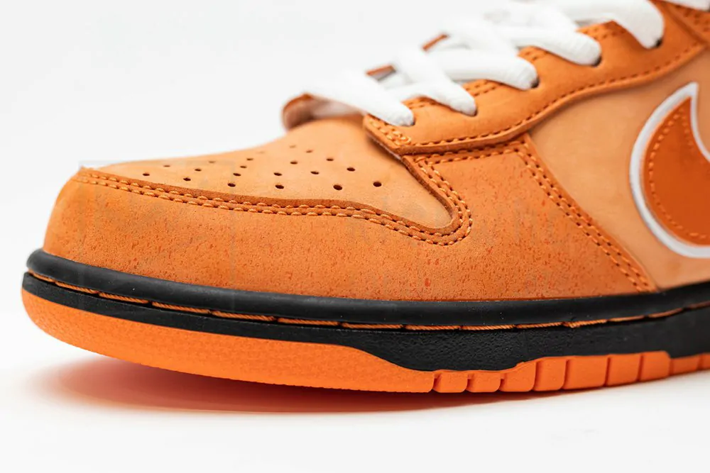 Concepts x Dunk Low SB 'Orange Lobster' - Image 8